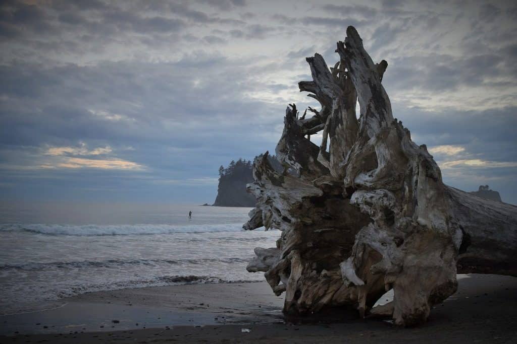 Olympic National Park,Washington