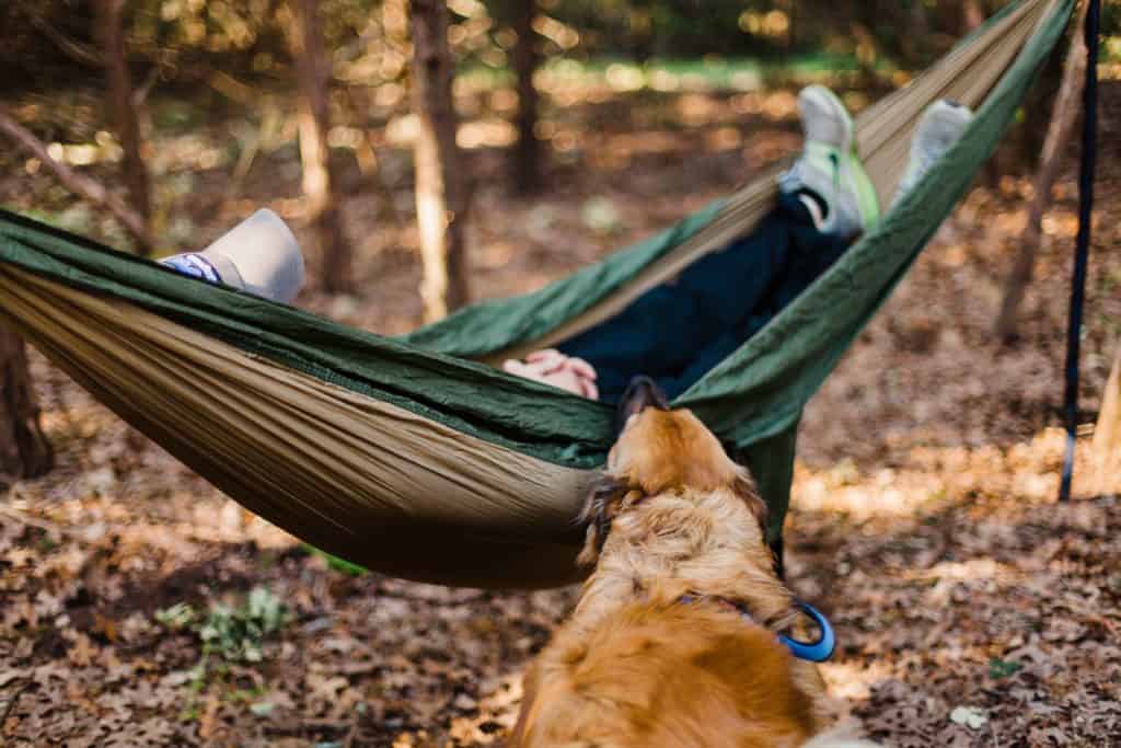 Hammock Camping With Dogs