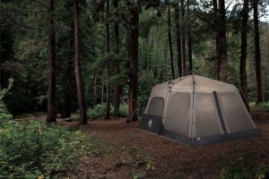 Coleman 8 Person Instant Tent Review – Your Best Outdoor Home