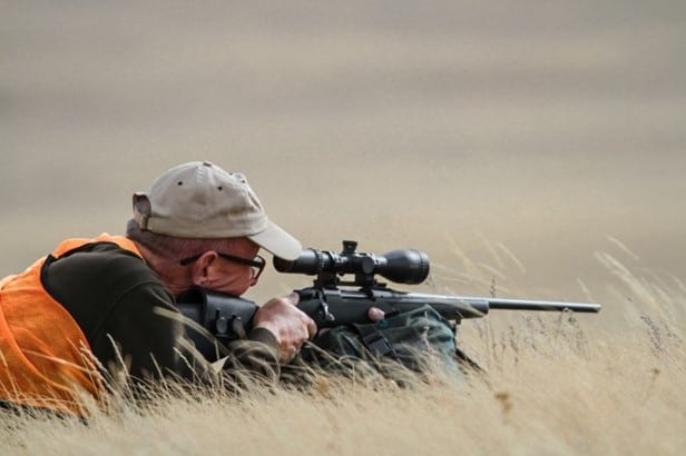 Best 308 Rifle Scope For All Budgets