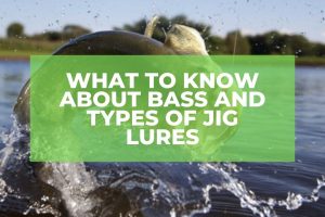 What To Know About Bass And Types Of Jig Lures